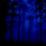 my head is empty a way out