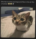 LABUBU 67 (reupload)