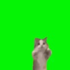 happy happy happy meme song