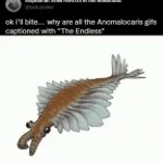 Ill bite your fingys