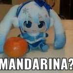 Fotosintesis meme sound effect