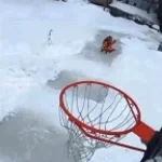 DANTEH GOAAAAL [Limbus Company Meme]