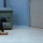 CAZZO DE PROBLEMI CIAI SCIMMIA HS