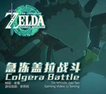 [Tin Whistle Cover] Colgera Battle Theme The Legend of Zelda