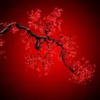 Recording 07/31/25 16:26:41 (copy)