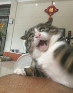 he's in my eyes, he's in my ears