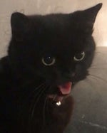 Defusing Sound Valorant Prank