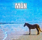 AbdulMajeed Abdullah Ya Tayeb El Galb عبد المجيد عبد الله يا طي