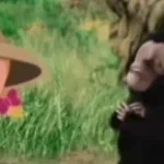 baby chimp singing - Sound