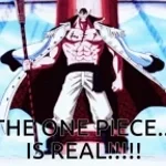 THE ONE PIECE IS REAL