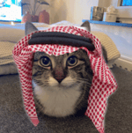 Custom clicker sound ( when attacking someone)