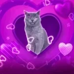 me compre una escalera