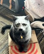 Boy crashes car and dies