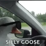 grandingo une voiture