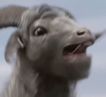 Thor Goat Scream