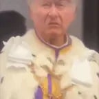 Tobas o rei da bazucada