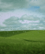 Funny Flute Silly HAHA