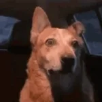 The Lobotomy by Maebi