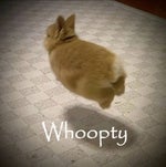 Discord leave notification