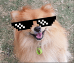 Clapping Sound Effects - Sound