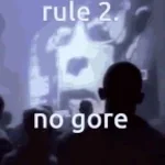 gore 2