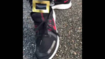 buckle me shoe