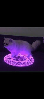 "ALERT. DETECTING HOSTILES." - agent