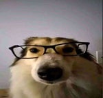 Plânge că i a furat unu Sultanul pe SA MP ( (mp3cut