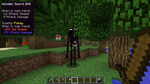 Hit4 - endermen
