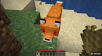 Fox - Attack 5