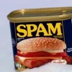 hamburgerdude spam