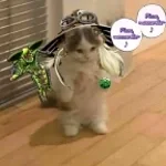 "mas ta tudo bem a vida que segue"