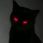 Je vais vous Toucher la nuit