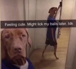 Loud Android Notification Sound Effect - Sound