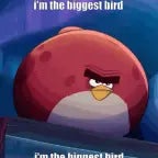 biggest bird leo
