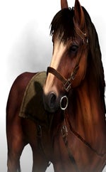 o kurwa uwazaj geralt sound effect