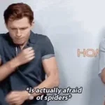 Barking Spider (copy)