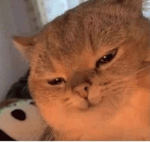 Funny Sleeping Sound Effect