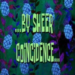 By Sheer Coincidence - Sound