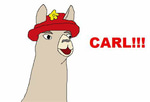 Carl-Llamas with hats - Sound