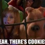 Scooby Doo - Yeah, theres cookies