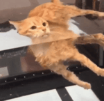 1980s PSA We're Not Candy!