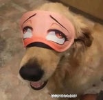 Terraria NPC Chatter Sound (