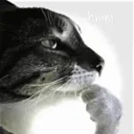 Hmm Click Click Click Click loop - Sound