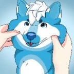 Alex François- Les Miches - Sound