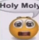 holy moly