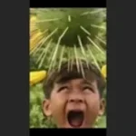 Bruh sound effect