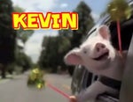 Kevin the Cow Screaming