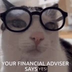 Financelu berantakan