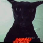 go larry go larry - Sound